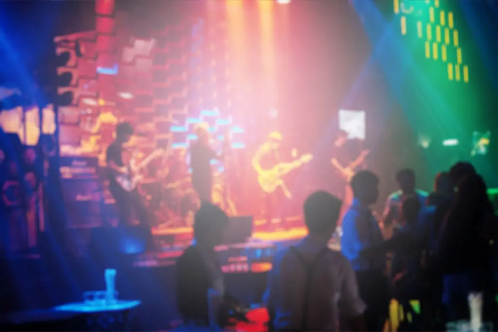 Crowd of people at a concert live show