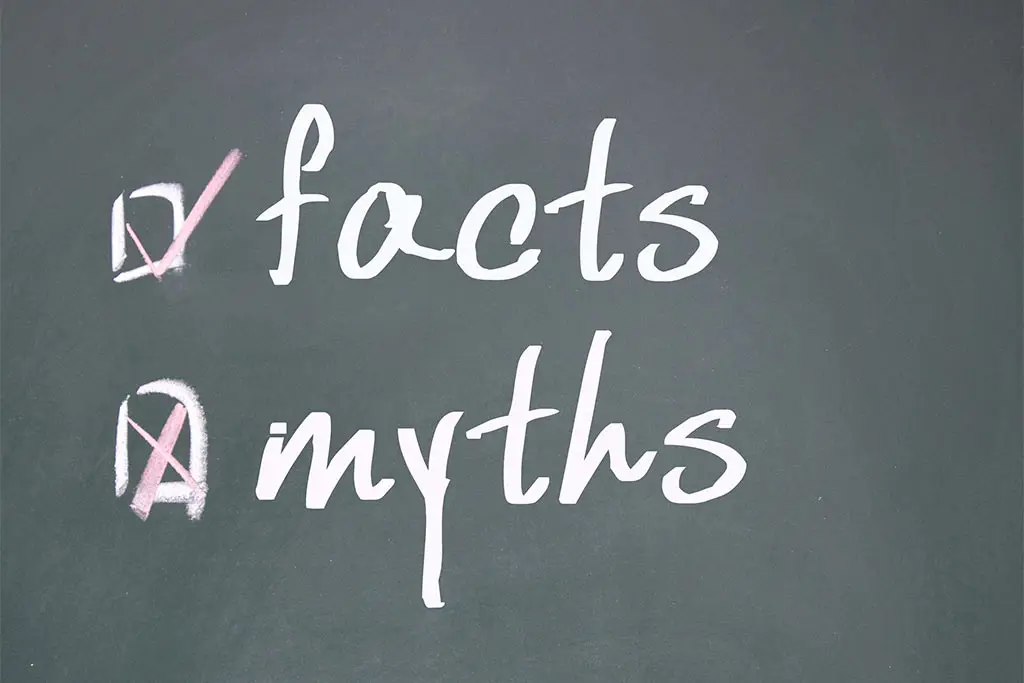 Facts and myths written on the green board